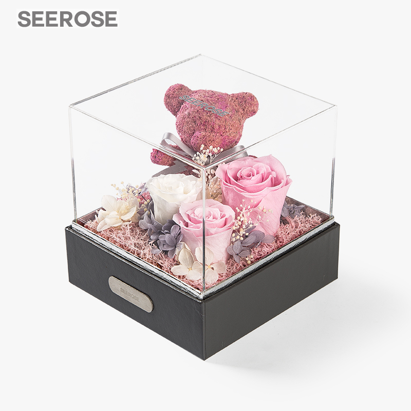 SEEROSE进口永生花苔藓玫瑰小熊礼盒摆件七夕情人节女友生日礼物